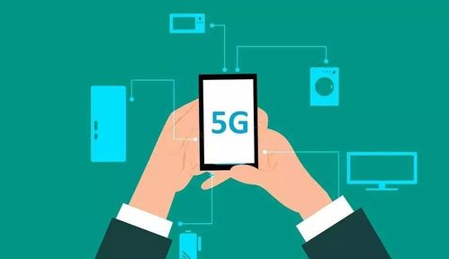 三彩家科技 借力信息技術咨詢，賦能生活服務行業降本增效